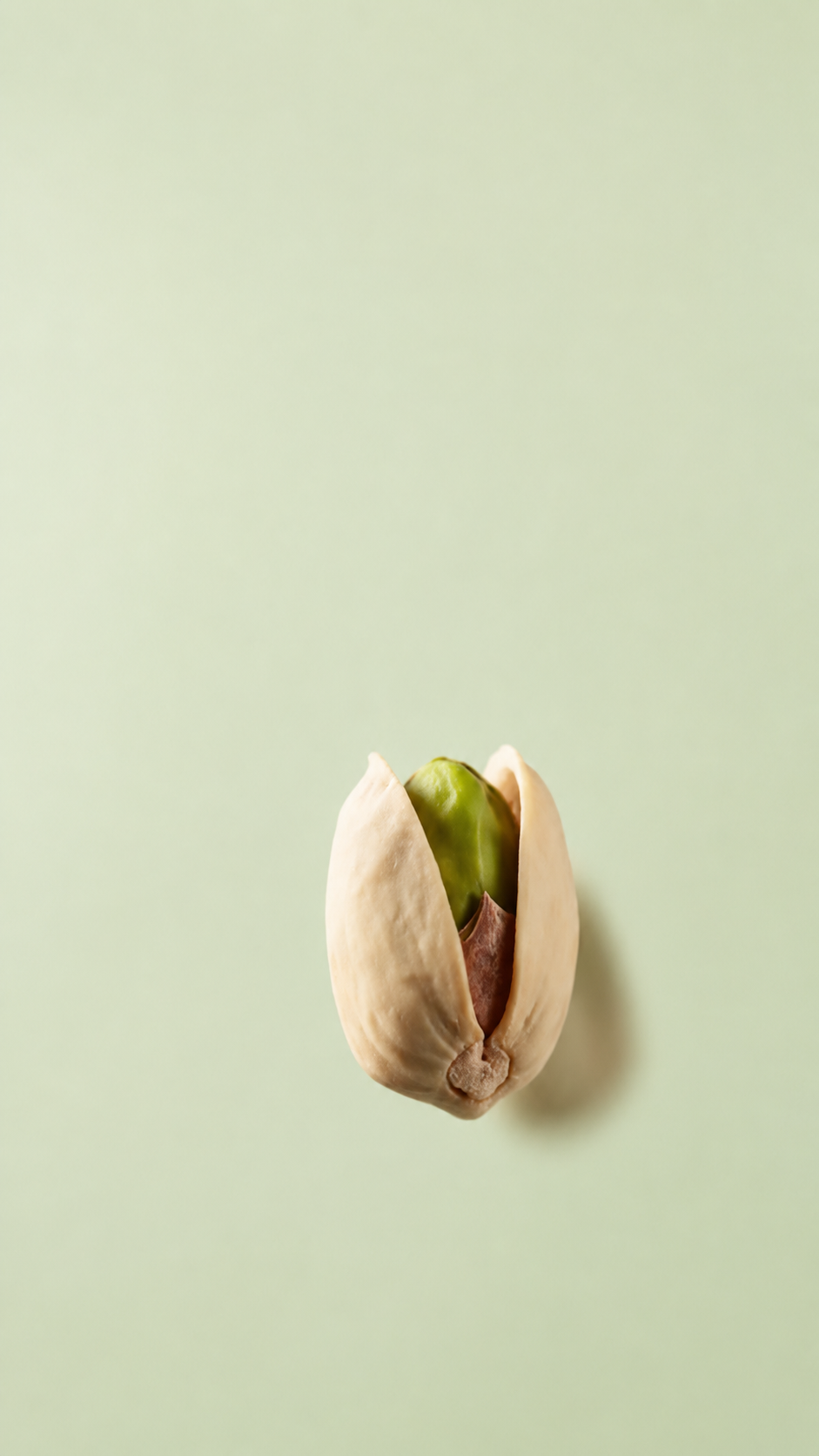 A single organic pistachio